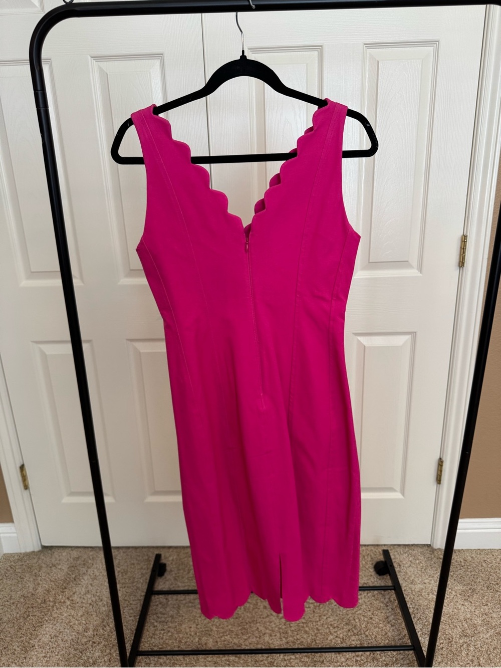 Size 6 NWT -Banana Republic Hot Pink Fitted Dress